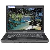 Toshiba Satellite L305D-S5934 laptop