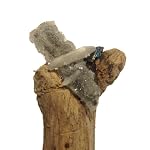 Cerrusite Wand 01 Wood Crystal Healing Druzy Quartz Stilbite Bornite Feather 13.5