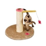 Zanies Flower Power Coral Scratch Post