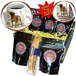 Dogs Brazilian Fila - Brazilian Fila - Coffee Gift Baskets - Coffee Gift Basket by 3dRose LLC