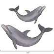2 Small Dolphin Wall Stickers Tropical Bath Decor