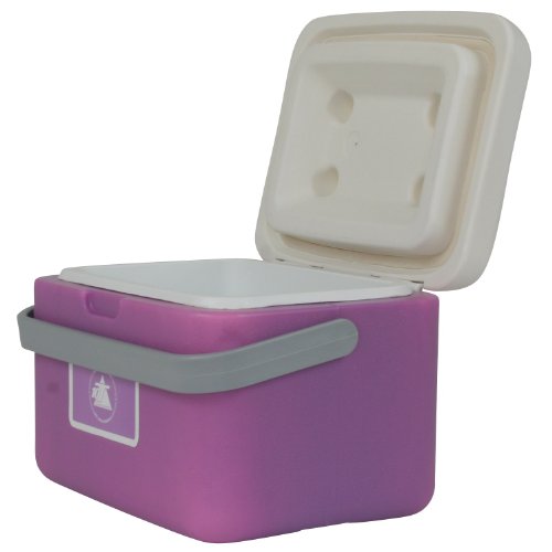 10T Fridgo 5 Glacière passive Lavande/Gris Clair 27 x 22 x 19,5 cm