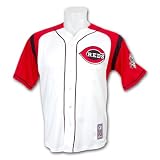 Cincinnati Reds Adam Dunn Stance Button Front Jersey