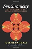 Synchronicity: Nature and Psyche in an Interconnected Universe (Carolyn and Ernest Fay Series in Analytical Psychology)