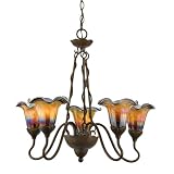 Quoizel PLDS5005MT Paloma 5 Light Chandelier