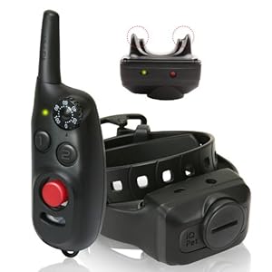 Dogtra iQ CliQ Remote Training Collar with Built-in Clicker? Dogtra iQ CliQ Remote Training Collar with Built-in Clicker?