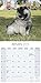 Keeshond Calendar - Breed Specific Keeshond Calendar - 2016 Wall calendars - Dog Calendars - Monthly Wall Calendar by Avonside