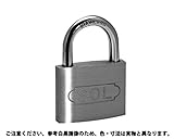 ステンロック（ビスター 規格(30) 入数(1) 【№２５００ステンロック　ビスターシリーズ】