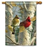 Cardinals in Birch Winter Standard House Flag