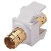 Leviton R02-40832-00W BNC QuickPort Adapter Connector, White, 1-Pair