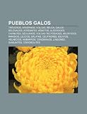 Pueblos Galos: Tréveros, Arvernos, Volca