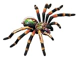 Revell X-Ray Tarantula Spider Anatomy ModelsIMAGE