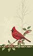 Kitchen Towel Cardinals