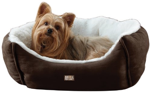 Animal Planet Micro Suede Pet Bed, Brown