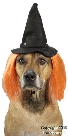 Pet Witch Dog Costume Hat For Large Dogs