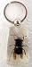 Yellow Jacket Lucite Key Chain Wasp Real Insect Image