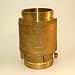Swing Check Valve - 3/4 inch FPT x 3/4 inch FPT