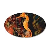 22x14 Oval Wall Vinyl Sticker Seahorse Holding Coral