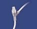 Connector Adapter Iv Inject Site Male Luer Lock Reg
