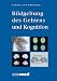 Bildgebung des Gehirns und Kognition. at Amazon Books: 41%2BJbiqU7IL._SL75_