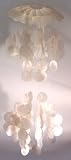 Capiz Shell Windchime 2 Tier 28