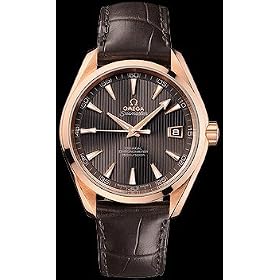 Omega Seamaster Aqua Terra Automatic Mens Watch 231.53.42.21.06.001