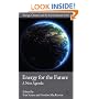 Energy for the Future: A New Agenda (Energy, Climate and the Environment)
