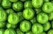 Gumballs Green Apple - 16 pounds