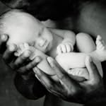 Schmidt Spiele 58921 - Anne Geddes, G...