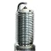 Search Our Specialty Mall : Champion Spark Plug 7981 Double Platinum Plug