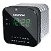 Grundig Sonoclock 590 Uhrenradio (LED-Display, UKW/MW-Tuner) schwarz/silber