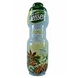 Anise Teisseire French Syrup Anise concentrate 750 ml (25.4 fl oz)