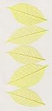 Skeleton Leaves- Pack of 15 Citrine Mini Rubber Tree