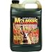 Evolved Habitats 21395 Molasses Sweet Treat