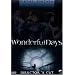 Wonderful Days - Director's Cut (Metal Edtion, 2 DVDs im Metalpak)