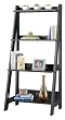 Alamosa Ladder Bookcase