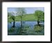 Marshy Area Near the Lejre Open-Air Museum Photographers Framed Art Poster Print by Sisse Brimberg, 22x18