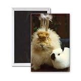 The odd couple - 3x2 inch Fridge Magnet - large magnetic button - Magnet