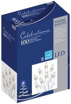 Celebrations Mini Light Set 100 Lights Warm White Led Glass Indoor/Outdoor Use White Cord
