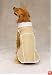 TAN - SMALL - Aspen Dog Coat