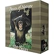 Chimpanzee Jigsaw Puzzle 500pc