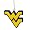 West Virginia Mountaineers