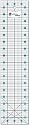 June Tailor Ruler - 4 Inch x18 Inch