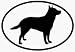 Australian Cattle Dog Image