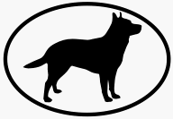 Australian Cattle Dog