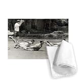 England World Cup squad in training Mexico.. - Tea Towel 100% Cotton - Art247 - Tea Towel - 46x70cm