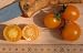 Tomatensorte => Gold Nugget (Samen)