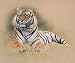 Tiger [Ed 195] - Gary Stinton Art Print Poster 40 x 34