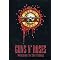 have the Ultimate Guns n' Roses Collection