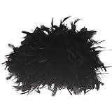 Black Feather Wig